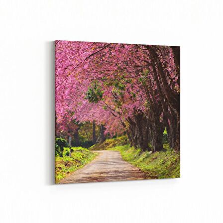 Olla 13347K Doğa / Manzara Görseli Kare Kanvas Tablo (Ölçü: 25X25)