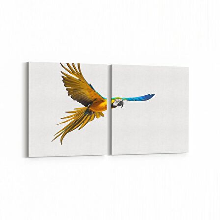 Olla 12557K2Y Hayvanlar Alemi Görseli Kare 2'li Yatay Kanvas Tablo (Ölçü: 65X30)