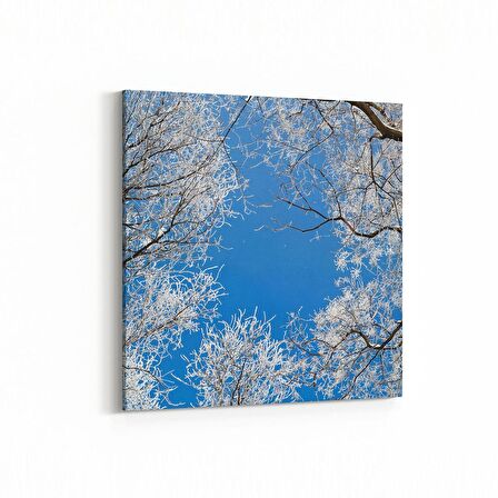 Olla 10503K Ağaç Görseli Kare Kanvas Tablo (Ölçü: 30X30)