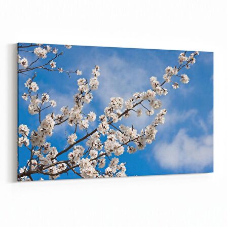 Olla 10700Y Ağaç Görseli Yatay Kanvas Tablo (Ölçü: 150X100)