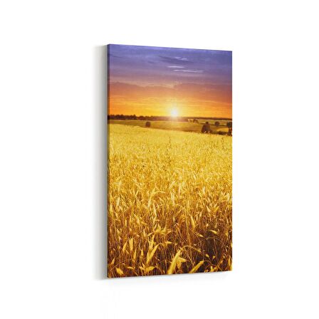 Olla 16076DD Günbatımı Görseli Dikey Dar Kanvas Tablo (Ölçü: 30X60)