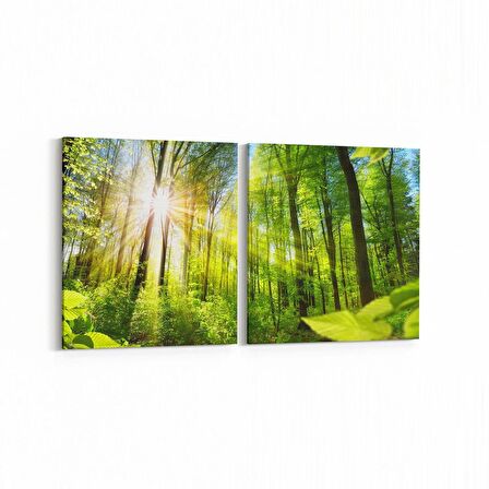 Olla 13987K2Y Doğa / Manzara Görseli Kare 2'li Yatay Kanvas Tablo (Ölçü: 145X70)