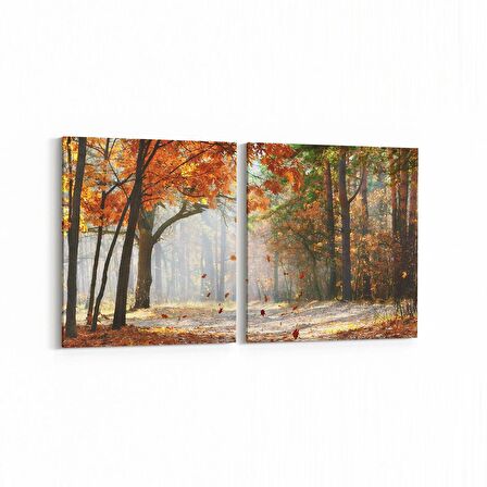 Olla 14558K2Y Doğa / Manzara Görseli Kare 2'li Yatay Kanvas Tablo (Ölçü: 85X40)
