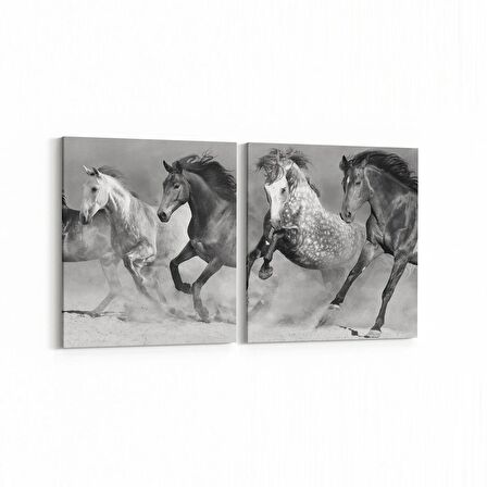 Olla 12462K2Y Hayvanlar Alemi Görseli Kare 2'li Yatay Kanvas Tablo (Ölçü: 85X40)