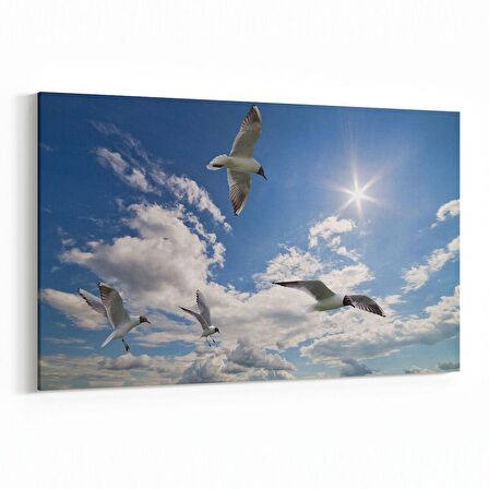 Olla 15843Y Gökyüzü Kuşlar Görseli Yatay Kanvas Tablo (Ölçü: 90X60)