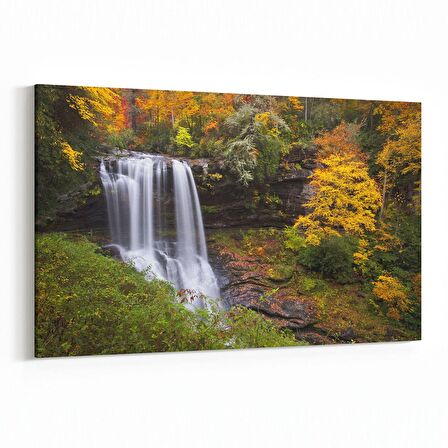 Olla 14574Y Doğa / Manzara Görseli Yatay Kanvas Tablo (Ölçü: 45X30)