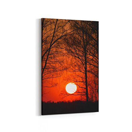 Olla 15997D Günbatımı Görseli Dikey Kanvas Tablo (Ölçü: 60X90)
