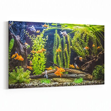Olla 12100Y Akvaryum / Balık Görseli Yatay Kanvas Tablo (Ölçü: 120X80)