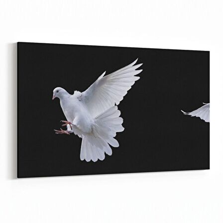 Olla 12678Y Hayvanlar Alemi Görseli Yatay Kanvas Tablo (Ölçü: 30X20)