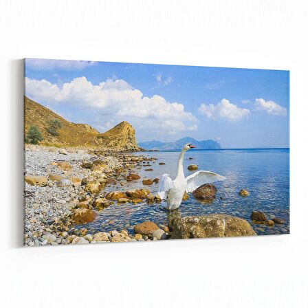 Olla 14444Y Doğa / Manzara Görseli Yatay Kanvas Tablo (Ölçü: 70X50)