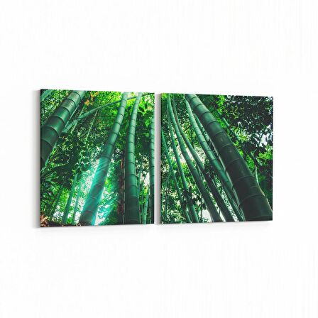 Olla 13313K2Y Doğa / Manzara Görseli Kare 2'li Yatay Kanvas Tablo (Ölçü: 65X30)