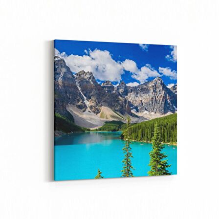 Olla 14215K Doğa / Manzara Görseli Kare Kanvas Tablo (Ölçü: 25X25)