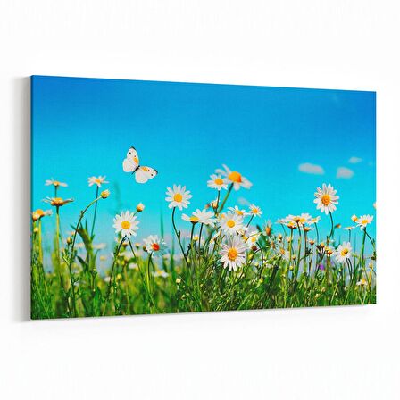 Olla 13263Y Doğa / Manzara Görseli Yatay Kanvas Tablo (Ölçü: 120X80)