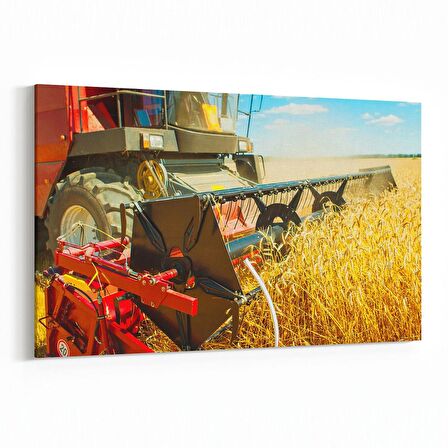 Olla 12241Y Araç Görseli Yatay Kanvas Tablo (Ölçü: 70X50)