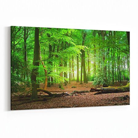 Olla 13851Y Doğa / Manzara Görseli Yatay Kanvas Tablo (Ölçü: 120X80)