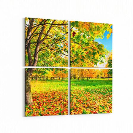 Olla 13174K4 Doğa / Manzara Görseli Kare 4'lü Kanvas Tablo (Ölçü: 145X145)
