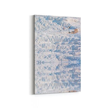 Olla 13176D Doğa / Manzara Görseli Dikey Kanvas Tablo (Ölçü: 60X90)