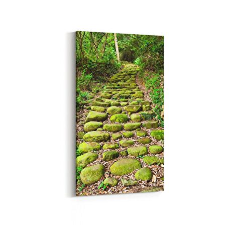 Olla 14169DD Doğa / Manzara Görseli Dikey Dar Kanvas Tablo (Ölçü: 40X80)