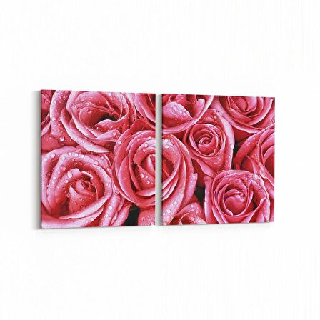 Olla 11640K2Y Çiçek Görseli Kare 2'li Yatay Kanvas Tablo (Ölçü: 145X70)