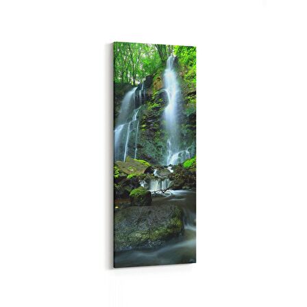 Olla 14385DI Doğa / Manzara Görseli Dikey İnce Kanvas Tablo (Ölçü: 40X120)