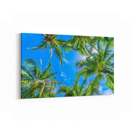 Olla 11527Y Palmiye Ağacı Görseli Yatay Kanvas Tablo (Ölçü: 150X100)
