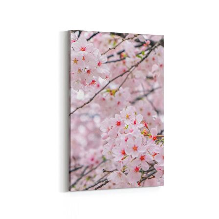 Olla 11556D Çiçek Görseli Dikey Kanvas Tablo (Ölçü: 20X30)