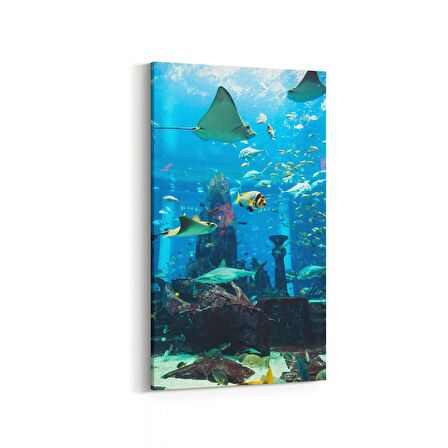 Olla 12108DD Akvaryum / Balık Görseli Dikey Dar Kanvas Tablo (Ölçü: 30X60)