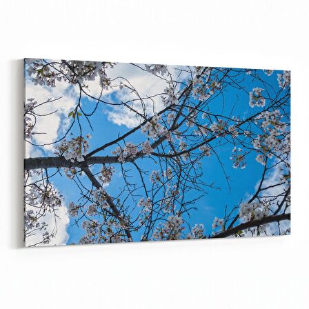 Olla 10764Y Ağaç Görseli Yatay Kanvas Tablo (Ölçü: 30X20)