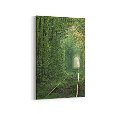 Olla 13296D Doğa / Manzara Görseli Dikey Kanvas Tablo (Ölçü: 40X60)