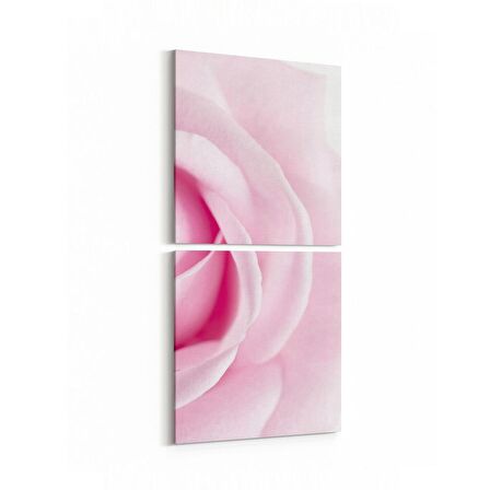 Olla 11572K2D Çiçek Görseli Kare 2'li Dikey Kanvas Tablo (Ölçü: 30X65)