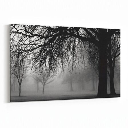 Olla 13652Y Doğa / Manzara Görseli Yatay Kanvas Tablo (Ölçü: 45X30)