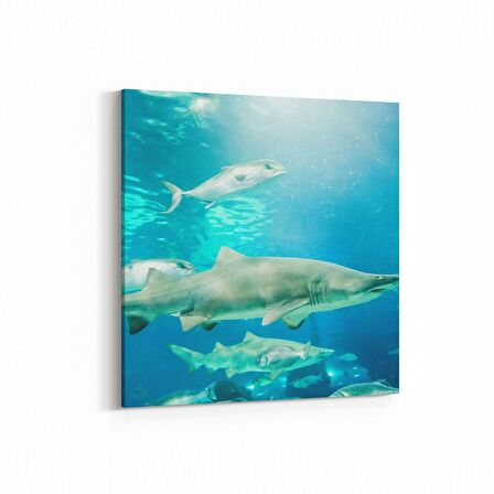 Olla 12896K Deniz / Okyanus Görseli Kare Kanvas Tablo (Ölçü: 25X25)
