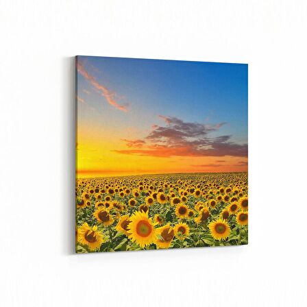 Olla 15972K Günbatımı Görseli Kare Kanvas Tablo (Ölçü: 30X30)