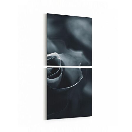 Olla 11577K2D Çiçek Görseli Kare 2'li Dikey Kanvas Tablo (Ölçü: 30X65)