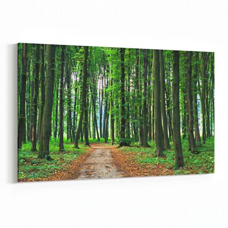 Olla 13870Y Doğa / Manzara Görseli Yatay Kanvas Tablo (Ölçü: 45X30)