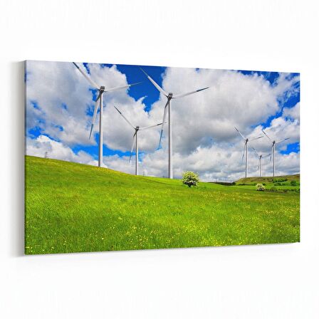 Olla 14211Y Doğa / Manzara Görseli Yatay Kanvas Tablo (Ölçü: 90X60)