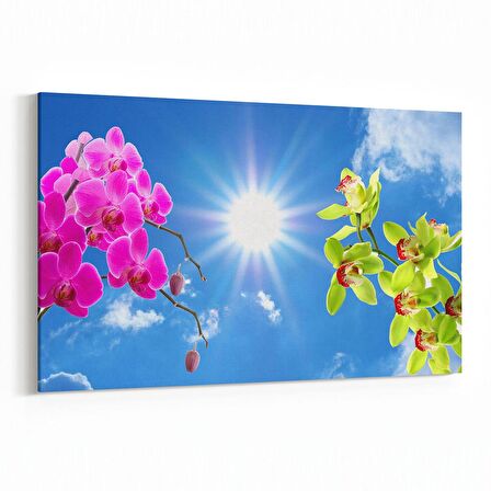 Olla 10643Y Ağaç Görseli Yatay Kanvas Tablo (Ölçü: 90X60)