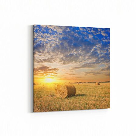 Olla 15909K Günbatımı Görseli Kare Kanvas Tablo (Ölçü: 25X25)