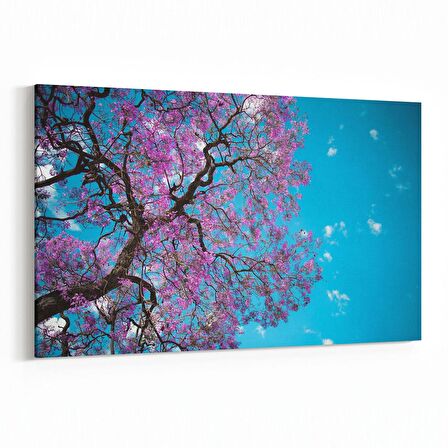 Olla 10625Y Ağaç Görseli Yatay Kanvas Tablo (Ölçü: 70X50)