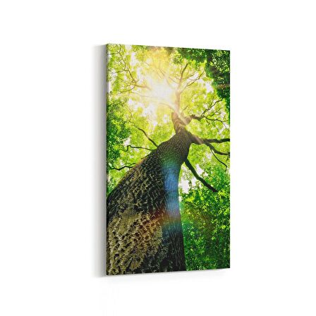 Olla 11063DD Ağaç Görseli Dikey Dar Kanvas Tablo (Ölçü: 30X60)