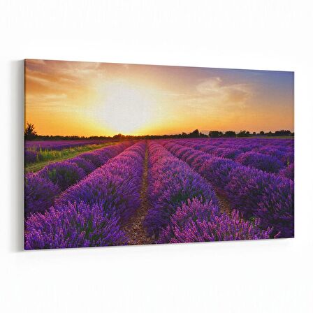 Olla 16002Y Günbatımı Görseli Yatay Kanvas Tablo (Ölçü: 45X30)
