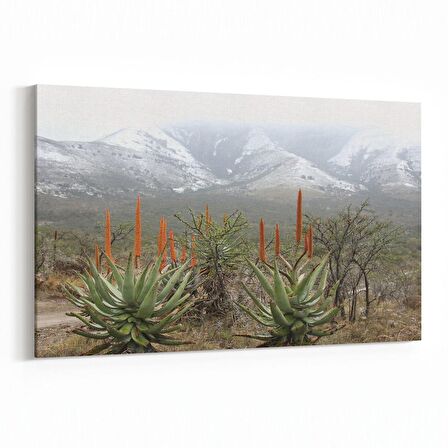 Olla 14220Y Doğa / Manzara Görseli Yatay Kanvas Tablo (Ölçü: 150X100)