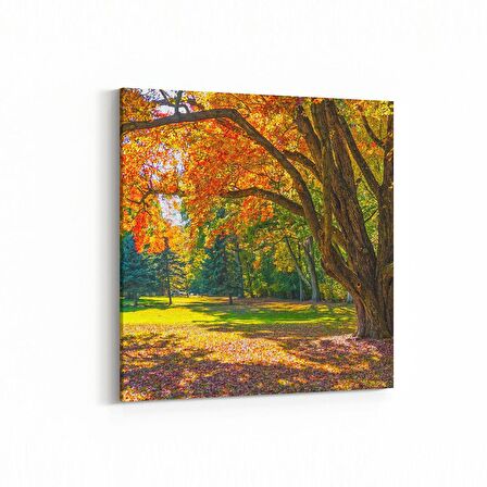 Olla 13980K Doğa / Manzara Görseli Kare Kanvas Tablo (Ölçü: 25X25)