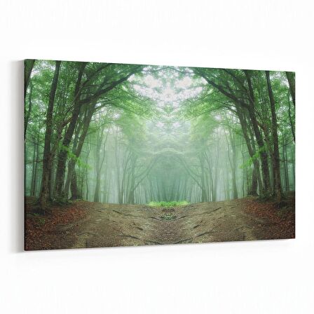 Olla 14490Y Doğa / Manzara Görseli Yatay Kanvas Tablo (Ölçü: 120X80)