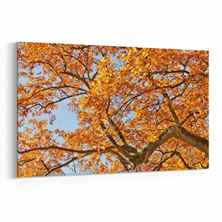 Olla 10501Y Ağaç Görseli Yatay Kanvas Tablo (Ölçü: 150X100)