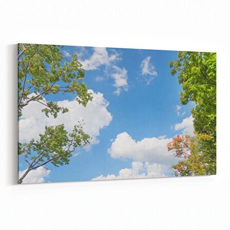 Olla 10772Y Ağaç Görseli Yatay Kanvas Tablo (Ölçü: 90X60)