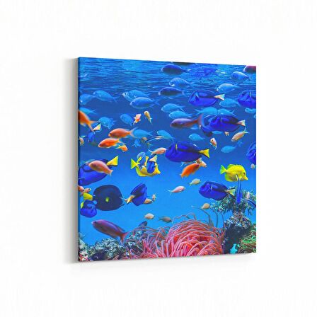 Olla 12093K Akvaryum / Balık Görseli Kare Kanvas Tablo (Ölçü: 60X60)