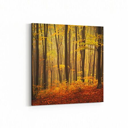Olla 13356K Doğa / Manzara Görseli Kare Kanvas Tablo (Ölçü: 30X30)