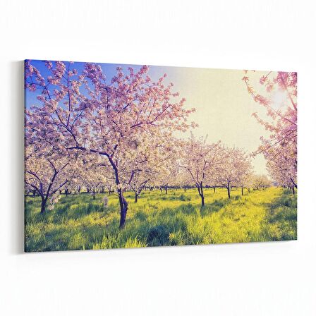 Olla 13706Y Doğa / Manzara Görseli Yatay Kanvas Tablo (Ölçü: 70X50)