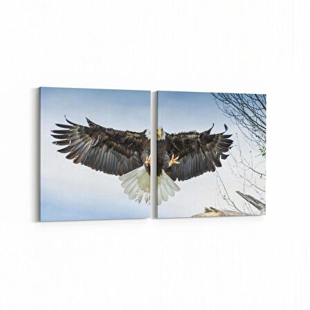 Olla 12527K2Y Hayvanlar Alemi Görseli Kare 2'li Yatay Kanvas Tablo (Ölçü: 65X30)